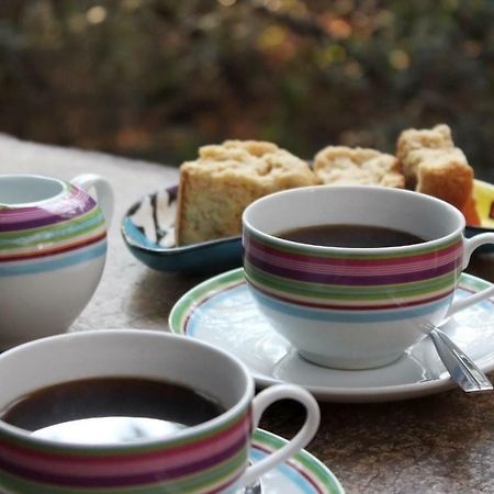 هازيفيو Thulamela Bed And Breakfast المظهر الخارجي الصورة